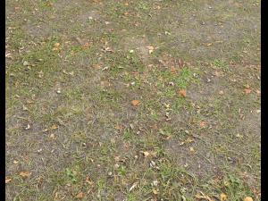 ground terrain grass pbr pack 4 CG Textures