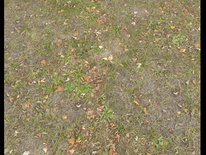ground terrain grass pbr pack 4 CG Textures