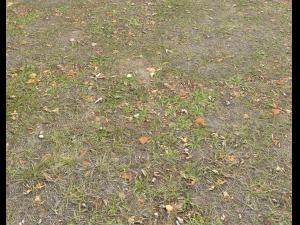 ground terrain grass pbr pack 4 CG Tekstury