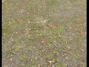 ground terrain grass pbr pack 4 CG Textures