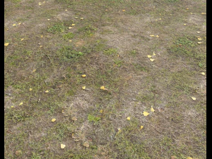 ground terrain grass pbr pack 4 CG Textures