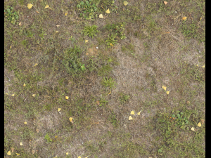 ground terrain grass pbr pack 4 CG Tekstury