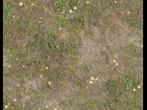ground terrain grass pbr pack 4 CG Textures