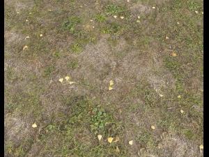 ground terrain grass pbr pack 4 CG Tekstury