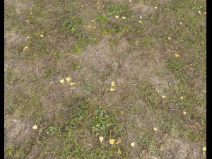 ground terrain grass pbr pack 4 CG Textures