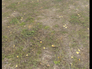 ground terrain grass pbr pack 4 CG Tekstury