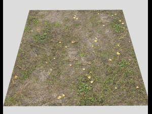ground terrain grass pbr pack 4 CG Textures