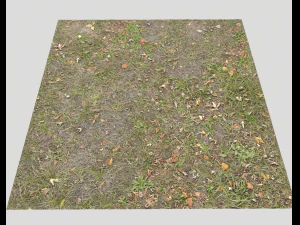 ground terrain grass pbr pack 4 CG Textures