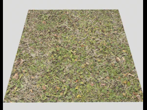 ground terrain grass pbr pack 4 CG Textures