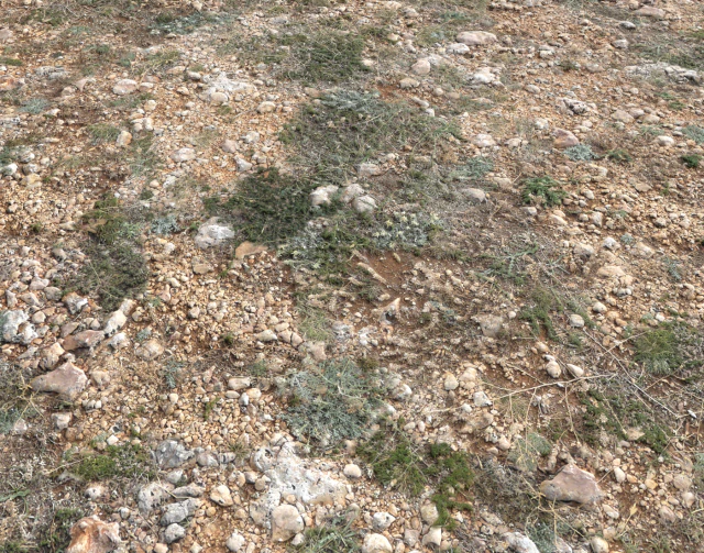 ground terrain pbr pack 1 CG Textures .c4d .max .obj .3ds .fbx .stl .blend