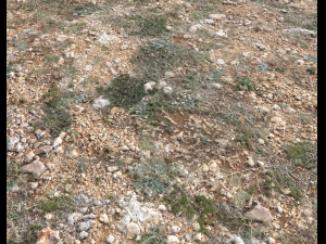 ground terrain pbr pack 1 CG テクスチャ