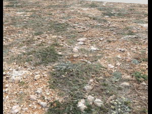 ground terrain pbr pack 1 CG テクスチャ