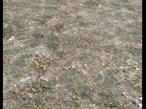 ground terrain pbr pack 1 CG テクスチャ