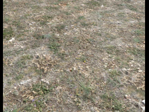 ground terrain pbr pack 1 CG Textures