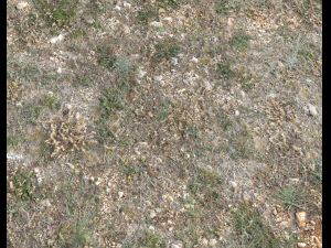ground terrain pbr pack 1 CG テクスチャ