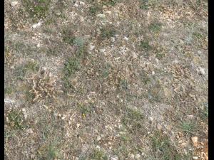 ground terrain pbr pack 1 CG Textures