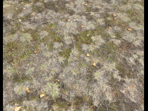 ground terrain pbr pack 1 CG テクスチャ