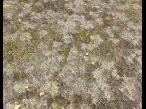 ground terrain pbr pack 1 CG Textures
