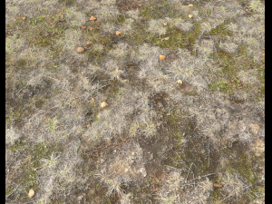 ground terrain pbr pack 1 CG テクスチャ