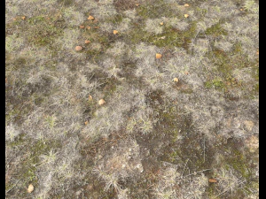 ground terrain pbr pack 1 CG Textures