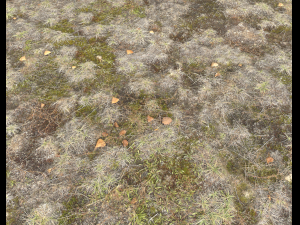 ground terrain pbr pack 1 CG テクスチャ