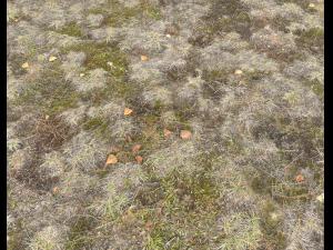 ground terrain pbr pack 1 CG Textures