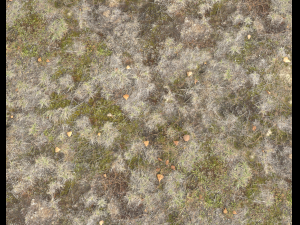 ground terrain pbr pack 1 CG テクスチャ