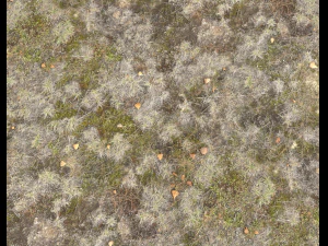 ground terrain pbr pack 1 CG Textures