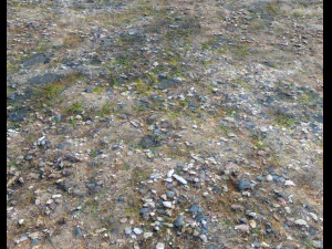 ground terrain pbr pack 1 CG Textures