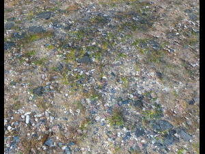 ground terrain pbr pack 1 CG テクスチャ