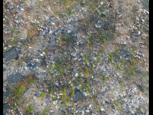 ground terrain pbr pack 1 CG テクスチャ