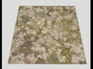 ground terrain pbr pack 1 CG テクスチャ