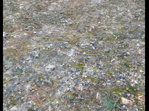 ground rocky terrain pbr pack 1 CG टेक्स्चर्स