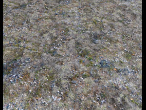 ground rocky terrain pbr pack 1 CG Texturen