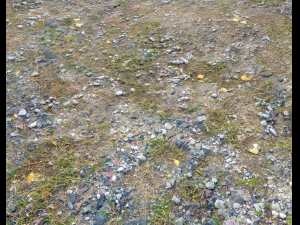 ground rocky terrain pbr pack 1 CG Texturen