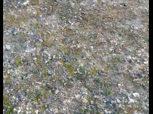 ground rocky terrain pbr pack 1 CG Texturen