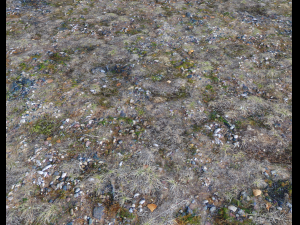 ground rocky terrain pbr pack 1 CG Texturen