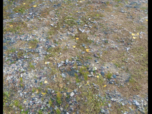 ground rocky terrain pbr pack 1 CG Texturen