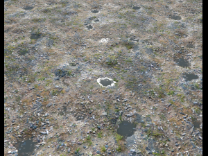 ground rocky terrain pbr pack 1 CG Texturen