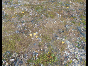 ground rocky terrain pbr pack 1 CG Texturen