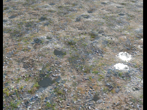 ground rocky terrain pbr pack 1 CG Texturen