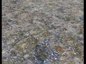 ground rocky terrain pbr pack 1 CG Texturen