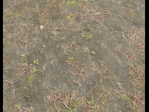 ground terrain pbr pack 2 CG Tekstury