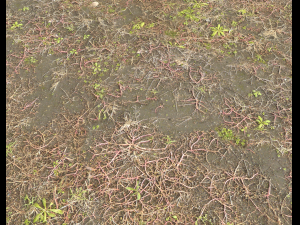 ground terrain pbr pack 2 CG Tekstury