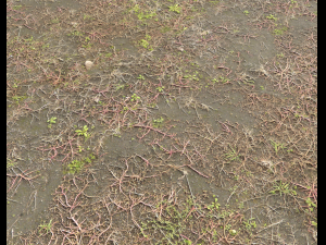 ground terrain pbr pack 2 CG Tekstury