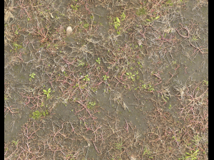 ground terrain pbr pack 2 CG Tekstury