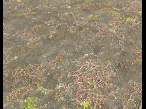 ground terrain pbr pack 2 CG Tekstury