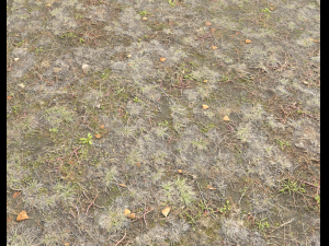 ground terrain pbr pack 2 CG Tekstury