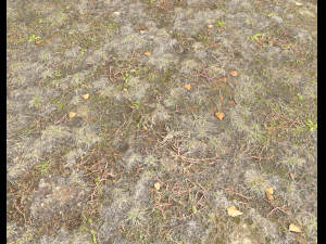 ground terrain pbr pack 2 CG Tekstury