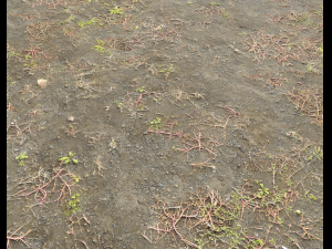 ground terrain pbr pack 2 CG Tekstury